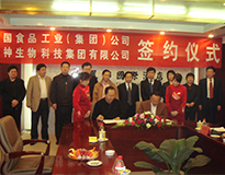 業務概況5